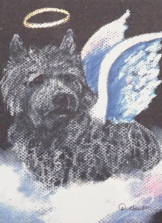 0000 cairn angel