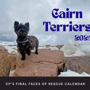 2026 CP'S FINAL FACES OF RESCUE CALENDAR