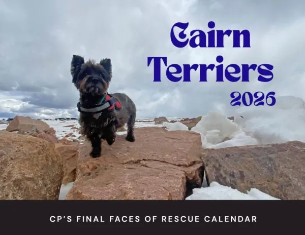 2026 CP'S FINAL FACES OF RESCUE CALENDAR