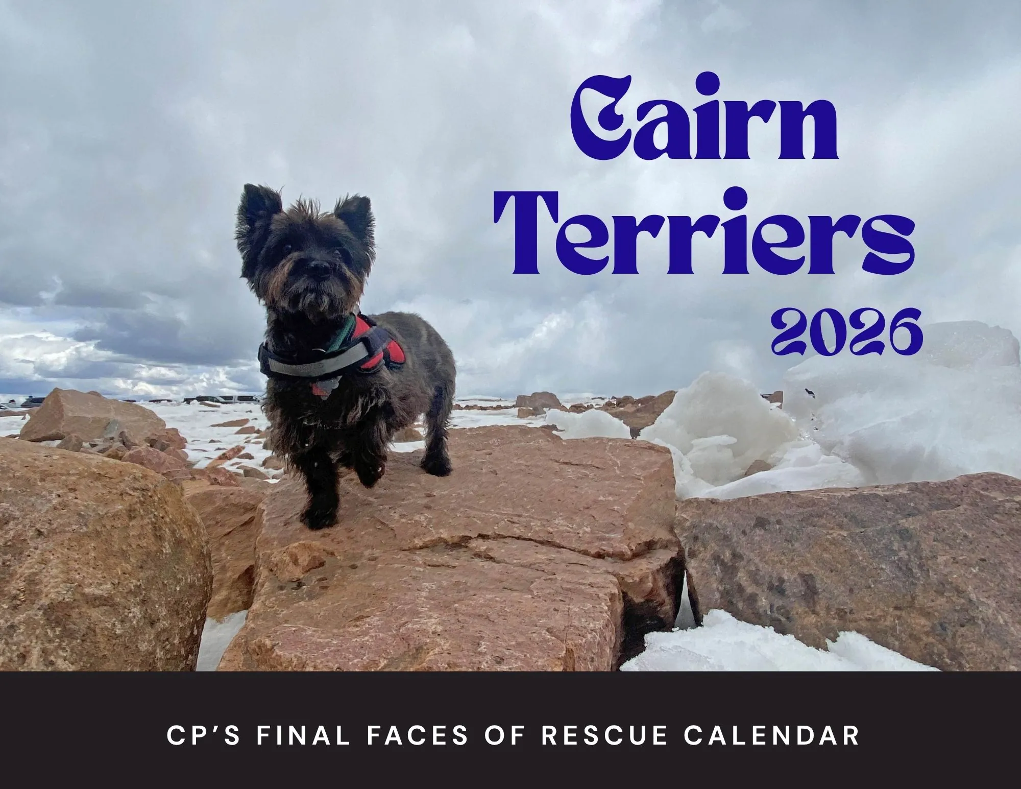 2026 CP'S FINAL FACES OF RESCUE CALENDAR-LAST DAY TO ORDER IS 12/10/25!