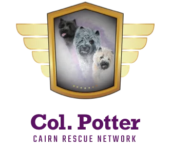 col potter logo vertical