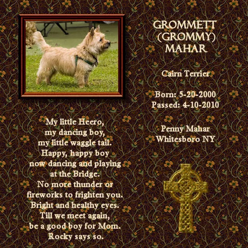 mahar grommett pp