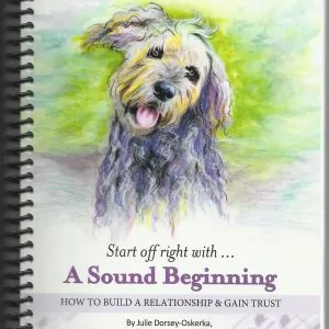 "a sound beginning" book adoption manual and cd