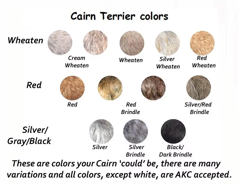 cairn colors a