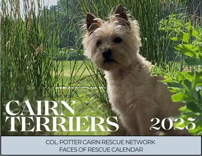 2025 FACES OF RESCUE CALENDAR