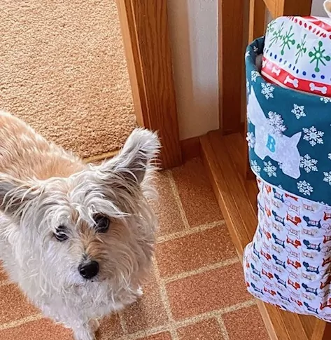 Terrier Christmas Stocking - Image 4